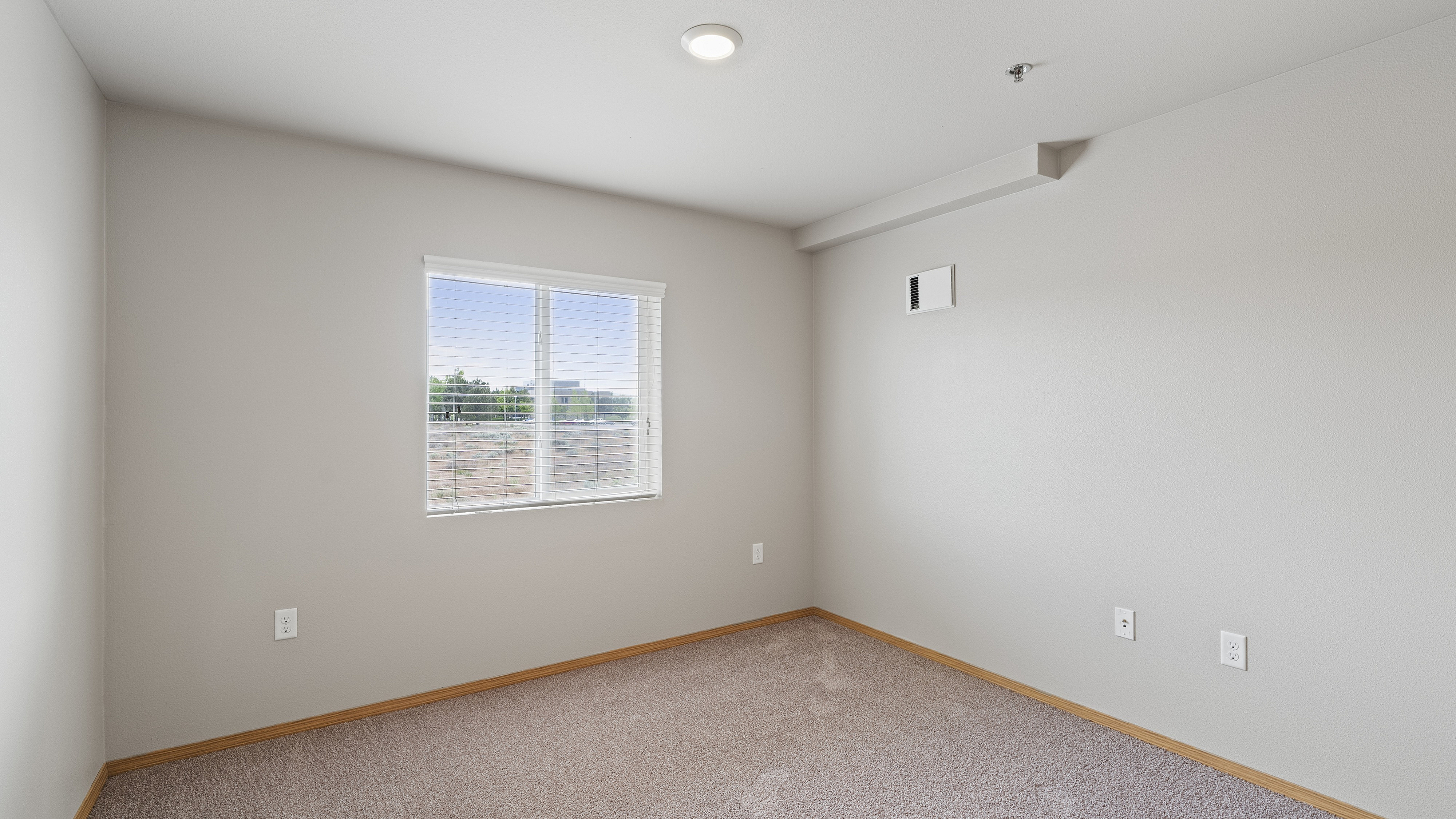 Bright and airy bedroom with plush carpet and a large window inviting natural light, perfect for relaxation.