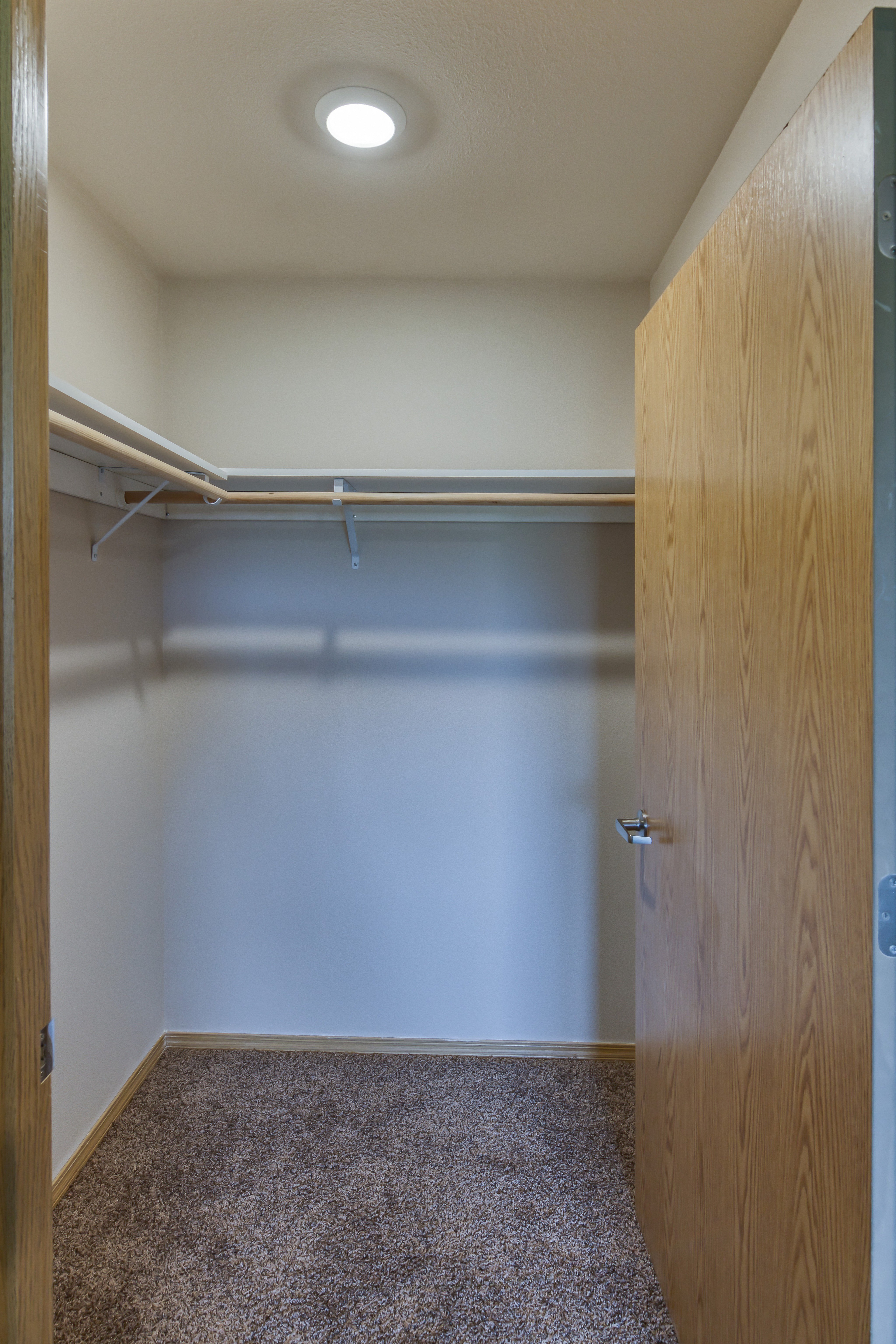 Spacious walk-in closet with plush carpeting and ample shelving, perfect for organized storage in a modern home.