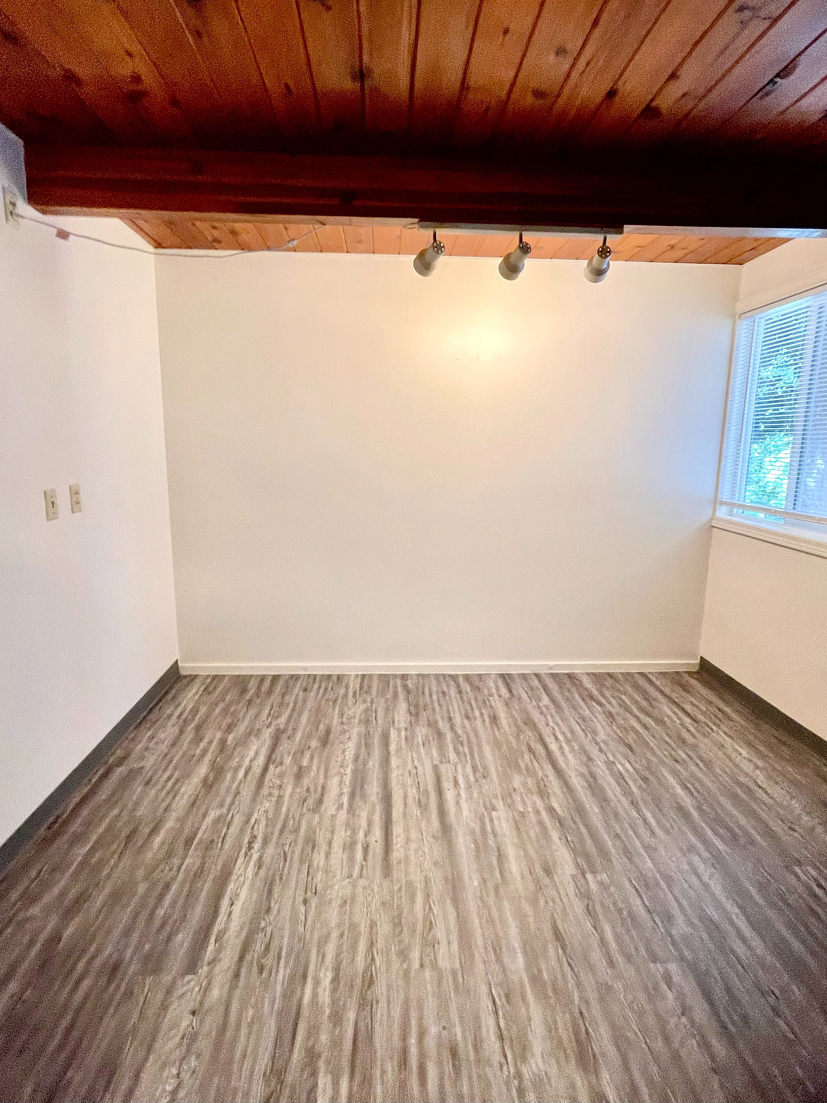 Bright, empty room with stylish wooden ceiling, modern flooring, large windows, and track lighting.