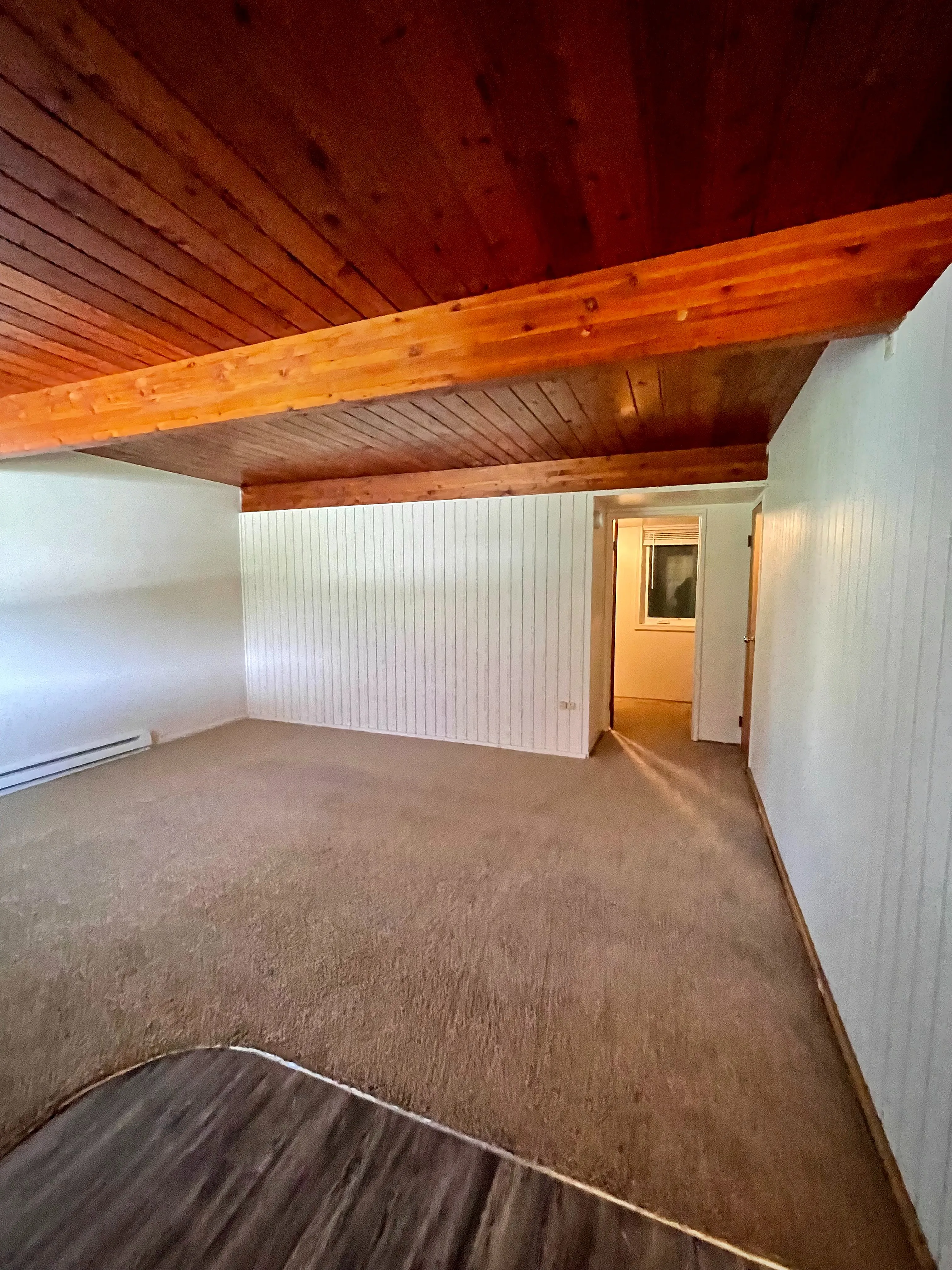 Charming living area with warm wood-paneled ceiling and inviting carpet flooring, perfect for a cozy home setting.