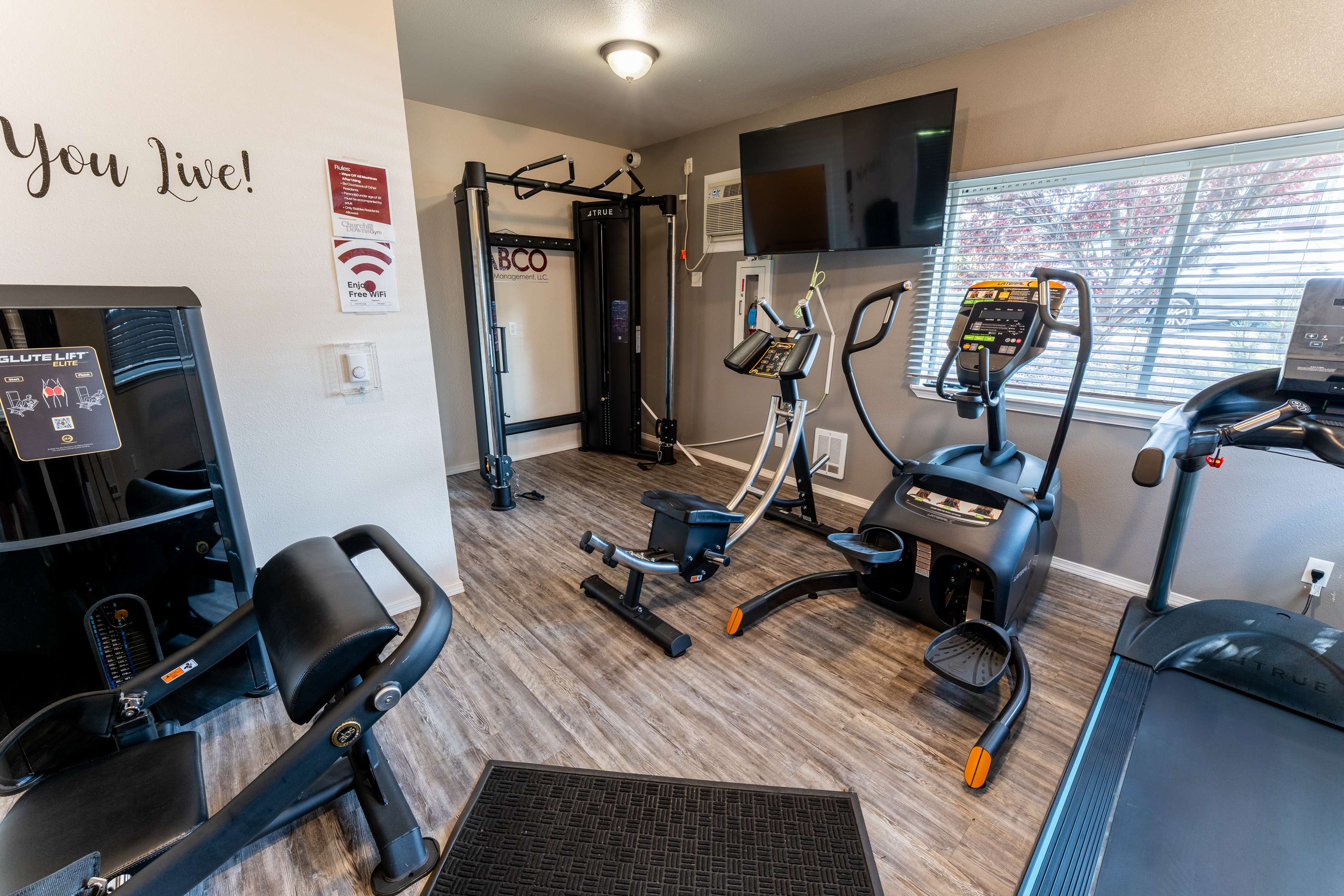 Inviting home gym with modern exercise equipment and natural light.