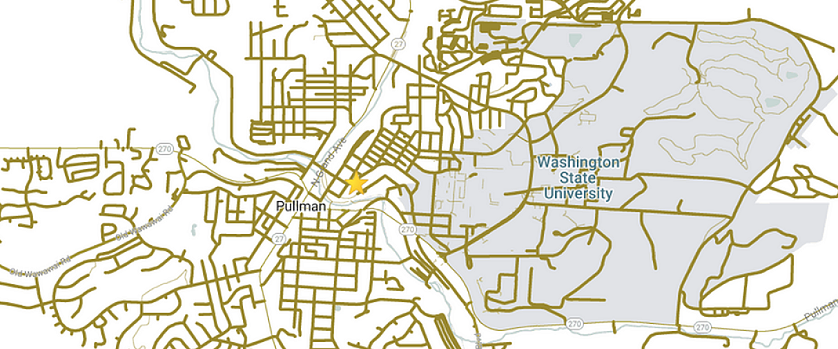 Stylish map showcasing the vibrant layout of Pullman, highlighting roads, intersections, and the Washington State University area.