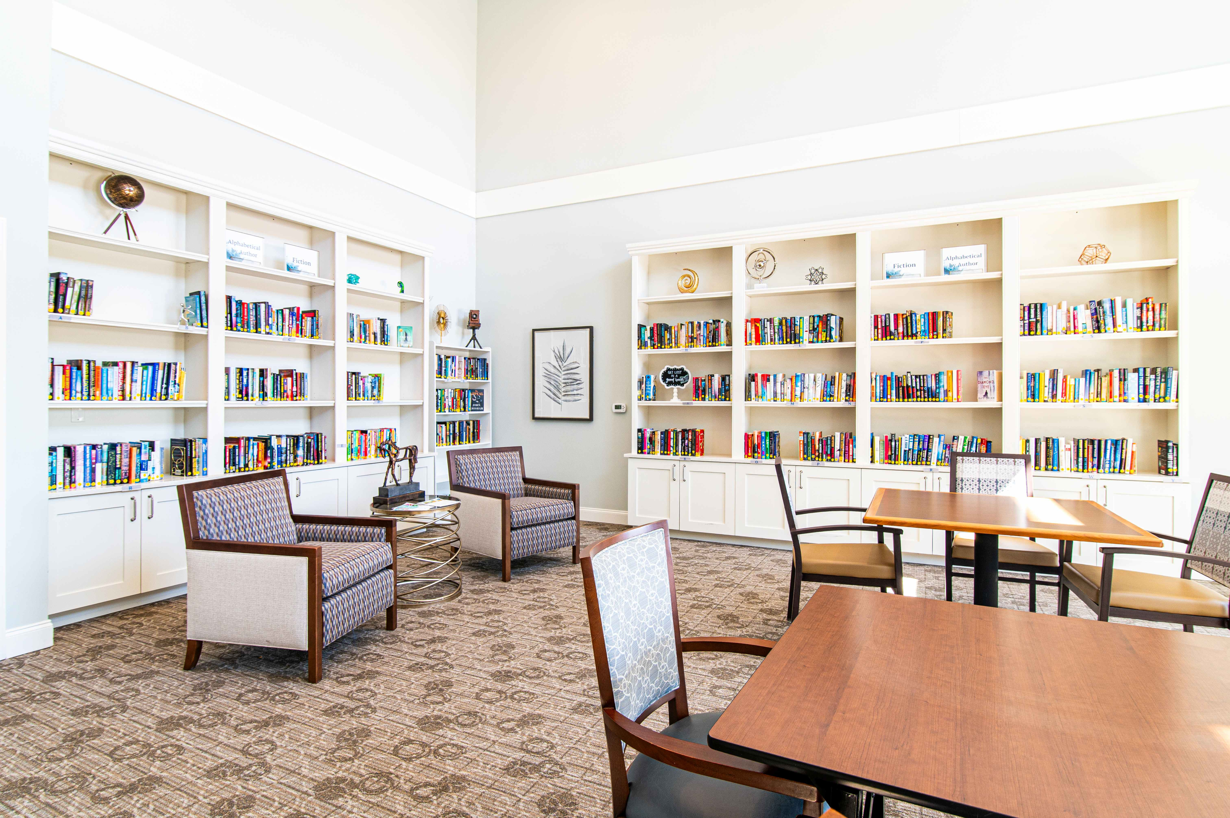 Bright and inviting community library with cozy seating, modern decor, and expansive bookshelves filled with various titles, perfect for leisurely reading and study.