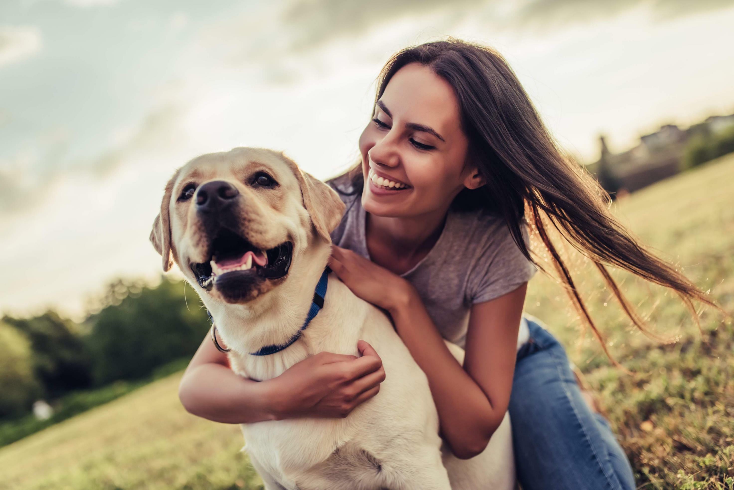 Which apartments in Salt Lake City are pet friendly?-image