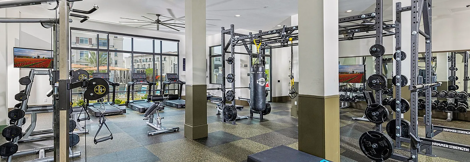 Modern apartment gym featuring state-of-the-art equipment, ample natural light, and sleek design for a premium workout experience.