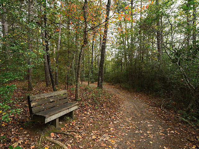 Dunn State Park near Meadowbrook Village apartments in Gardner, MA