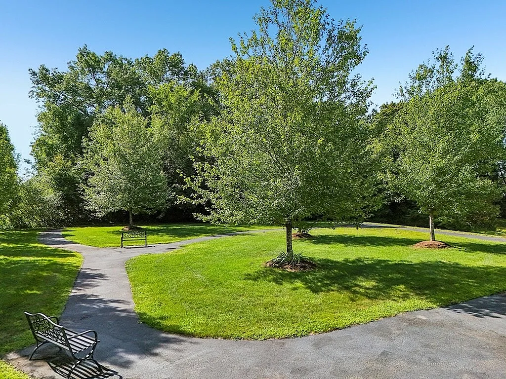 Tranquil green park with paved pathways, lush trees, and inviting benches under a clear blue sky.