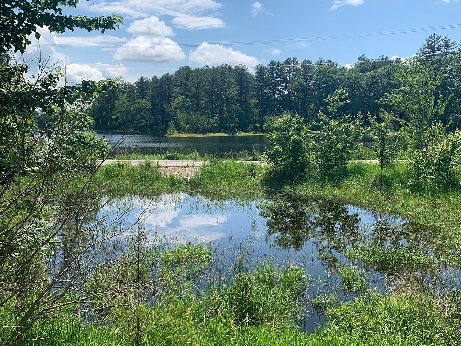 WIllard Pond views in Dover, NH