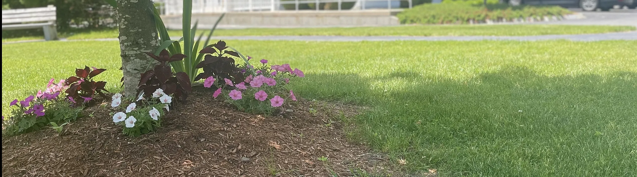 Charming apartment building with well-maintained landscaping, blooming flowers, and lush green lawns.