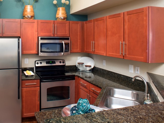 Carriage Home Apartments|Granite Counters|Dallas, Texas For Rent