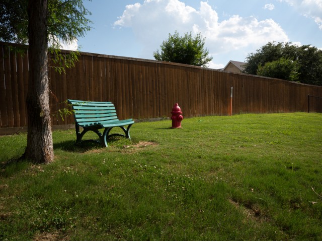 Image of Bark Park for Grapevine Twenty Four 99
