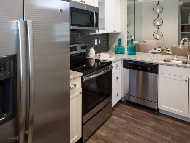 Image of Stainless Steel Appliances* for Grapevine Twenty Four 99