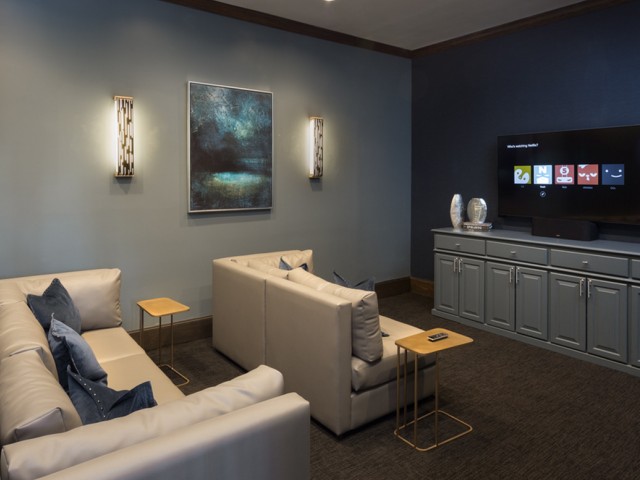 Image of Media Room for Grapevine Twenty Four 99