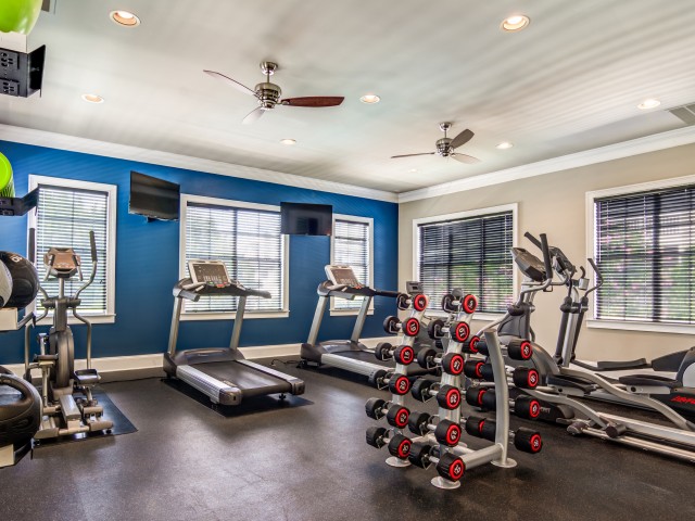 Image of Fitness Center & Cardio Theatre for Providence of Northlake (Moved to RC)