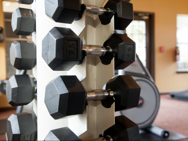Image of Free Weights in Fitness Center for Trails of Valley Ranch (Moved to RC)