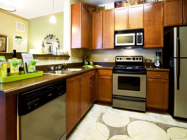 Image of Black/Stainless Steel Appliances for The Grove at Waterford Crossing (Moved to RC)