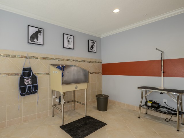 Pet Spa Salon for Pet Friendly Apartment Community in Kissimmee, FL l Monterey Pointe