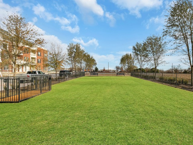 Resident Bark Park | Apartments For Rent In Mckinney Texas | McKinney Village