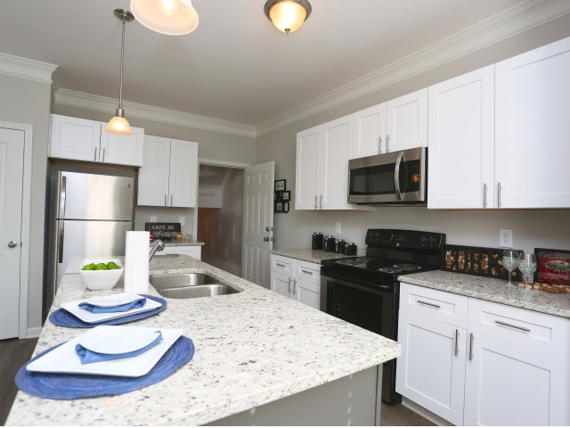 Image of Stainless Steel Appliances in the Kitchens for Fountains at Kelly Mill (Closed)