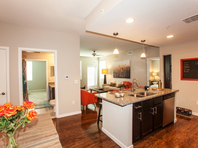 Model home showing island kitchen, living room and guest-access bathroom l High Ridge Landing