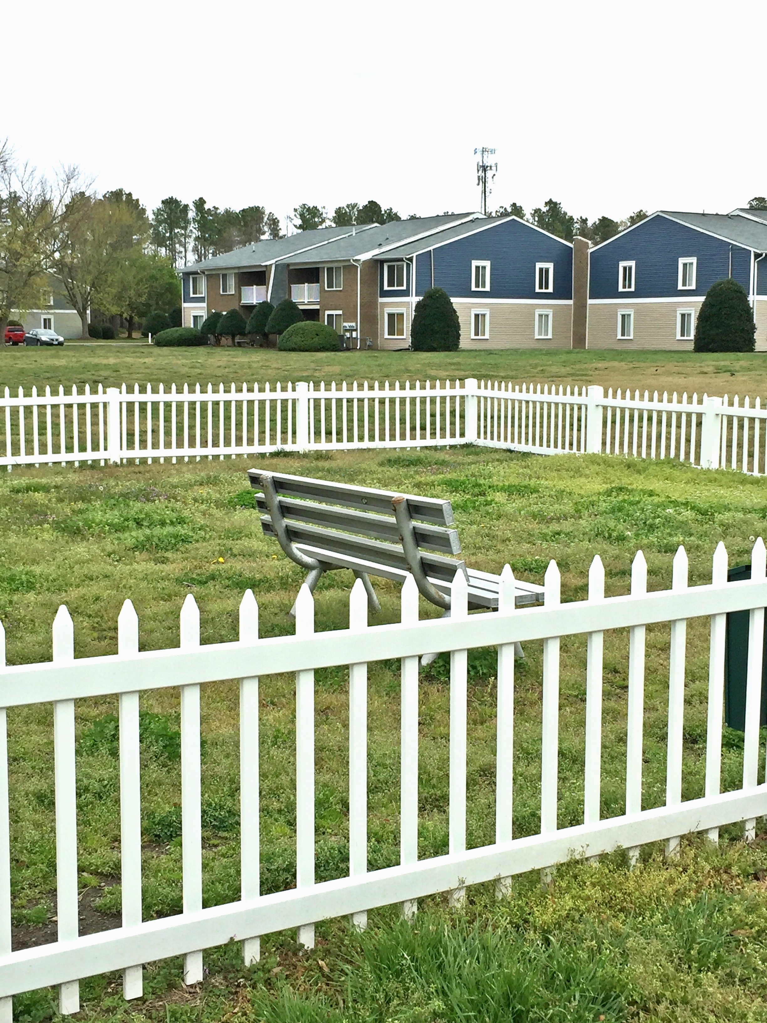 Image of Dog Park for Axis 147