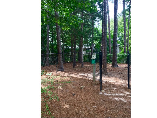 Community Bark Park | Apartments in Raleigh | VERT at Six Forks