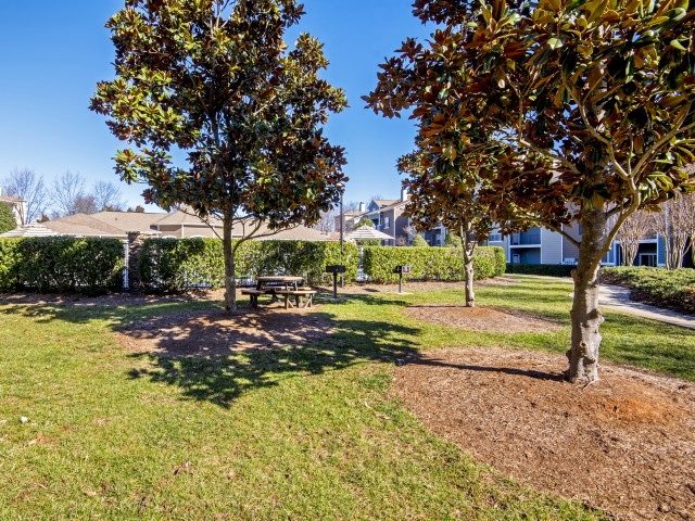 Image of Outdoor Grilling Stations for Thornberry Apartments (Moved to RC)