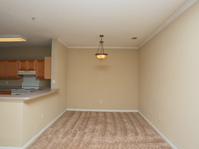 Image of Plush Carpeted Flooring for The Fields McEver (Closed)