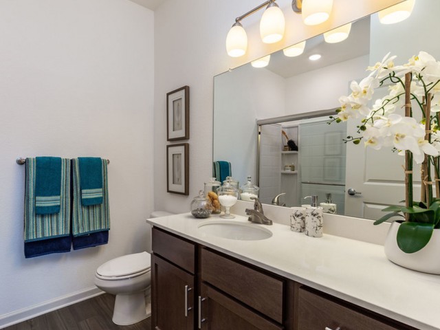 Treviso Grand Apartments - North Venice, Florida bathroom with large vanity, mirror and designer lighting