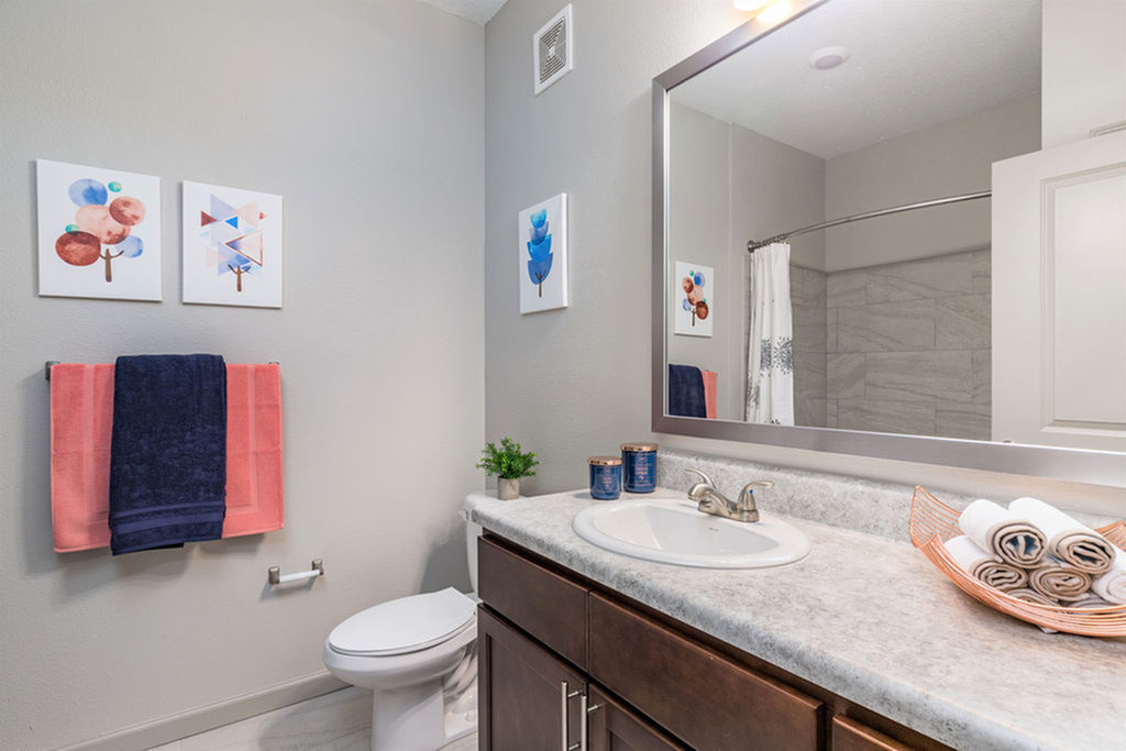 San Mateo Apartments Kissimmee Florida bathroom with framed mirror