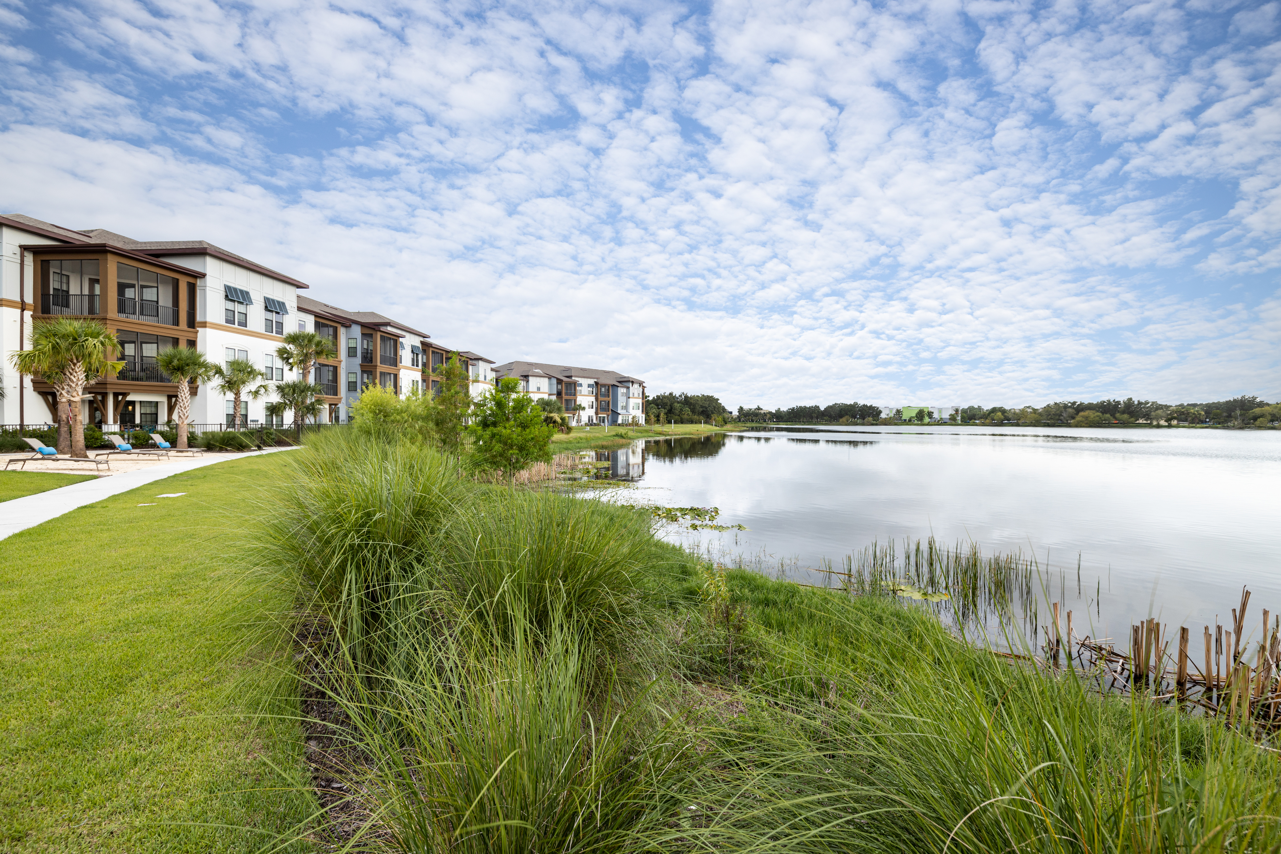 Ridgelake | Buildings Along Lake