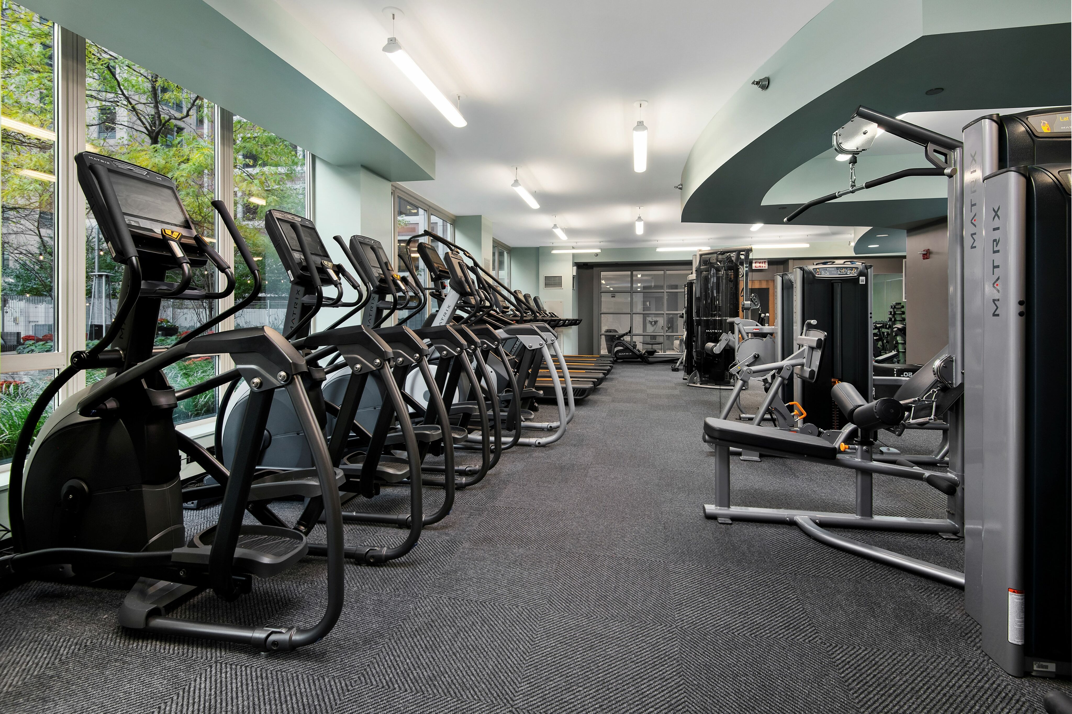 Gym equipment in the 24-hour fitness club