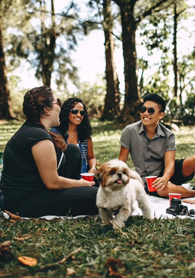 Picture of Sustainable Apartment Living: Eco-Friendly Choices