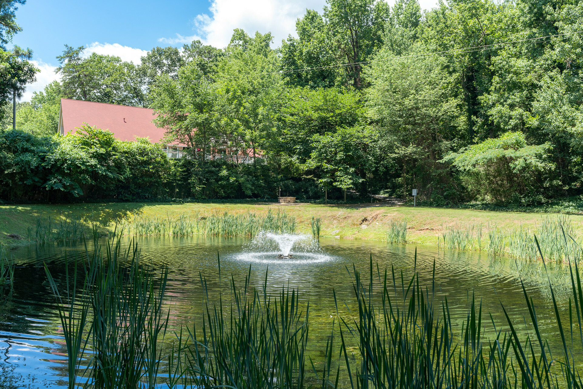 Pond