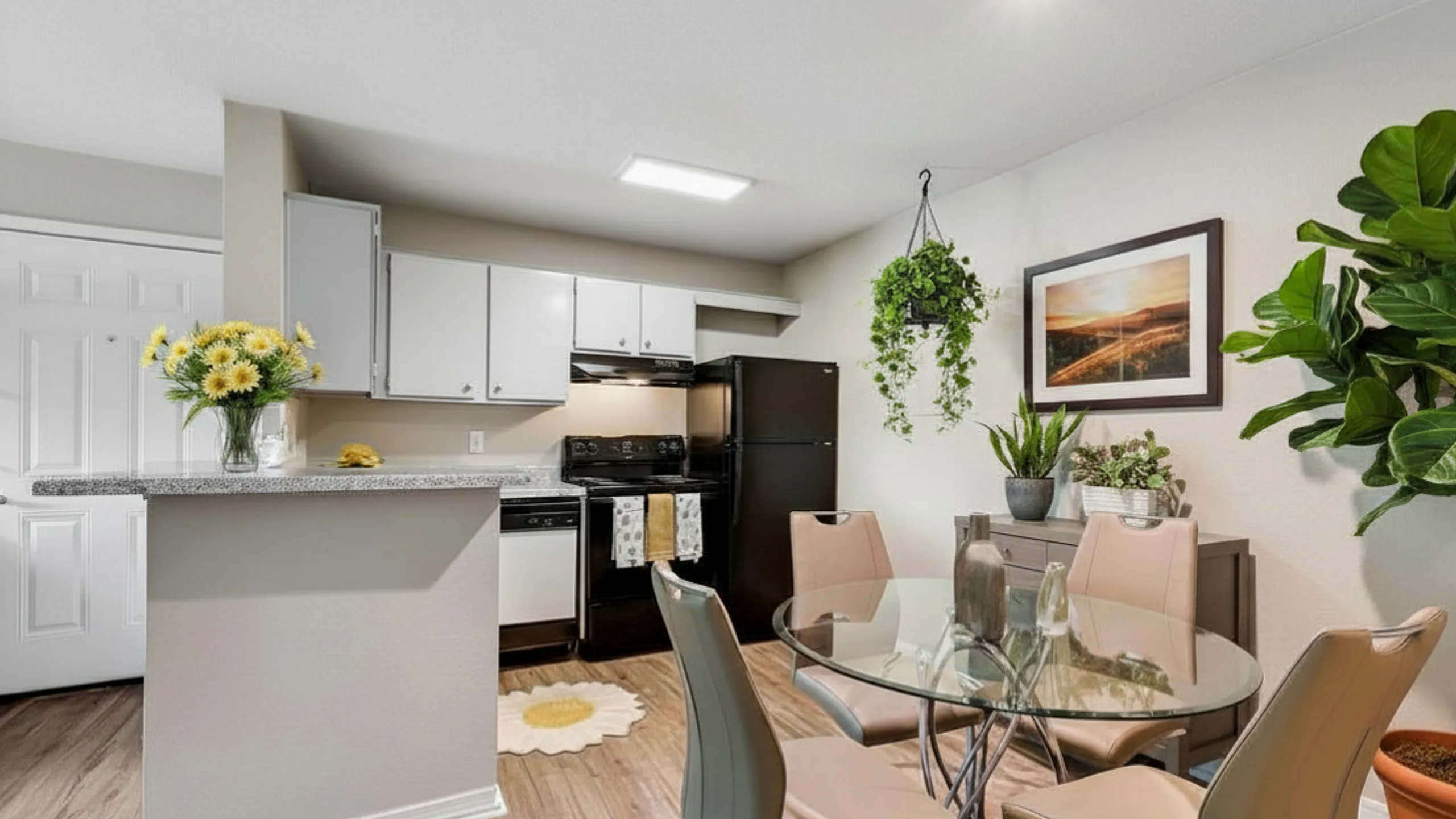 Carmel Creek Kitchen