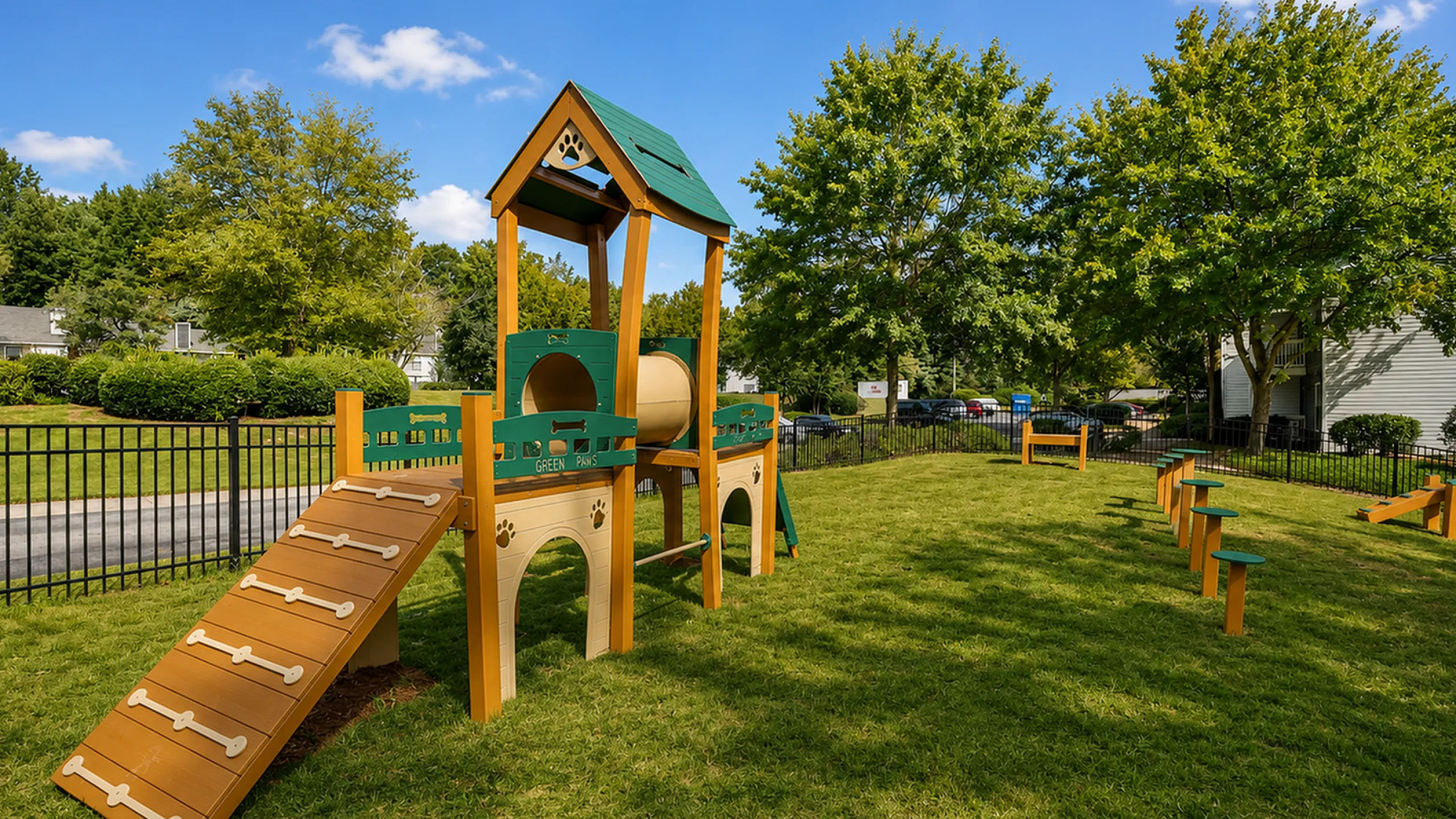 dog park