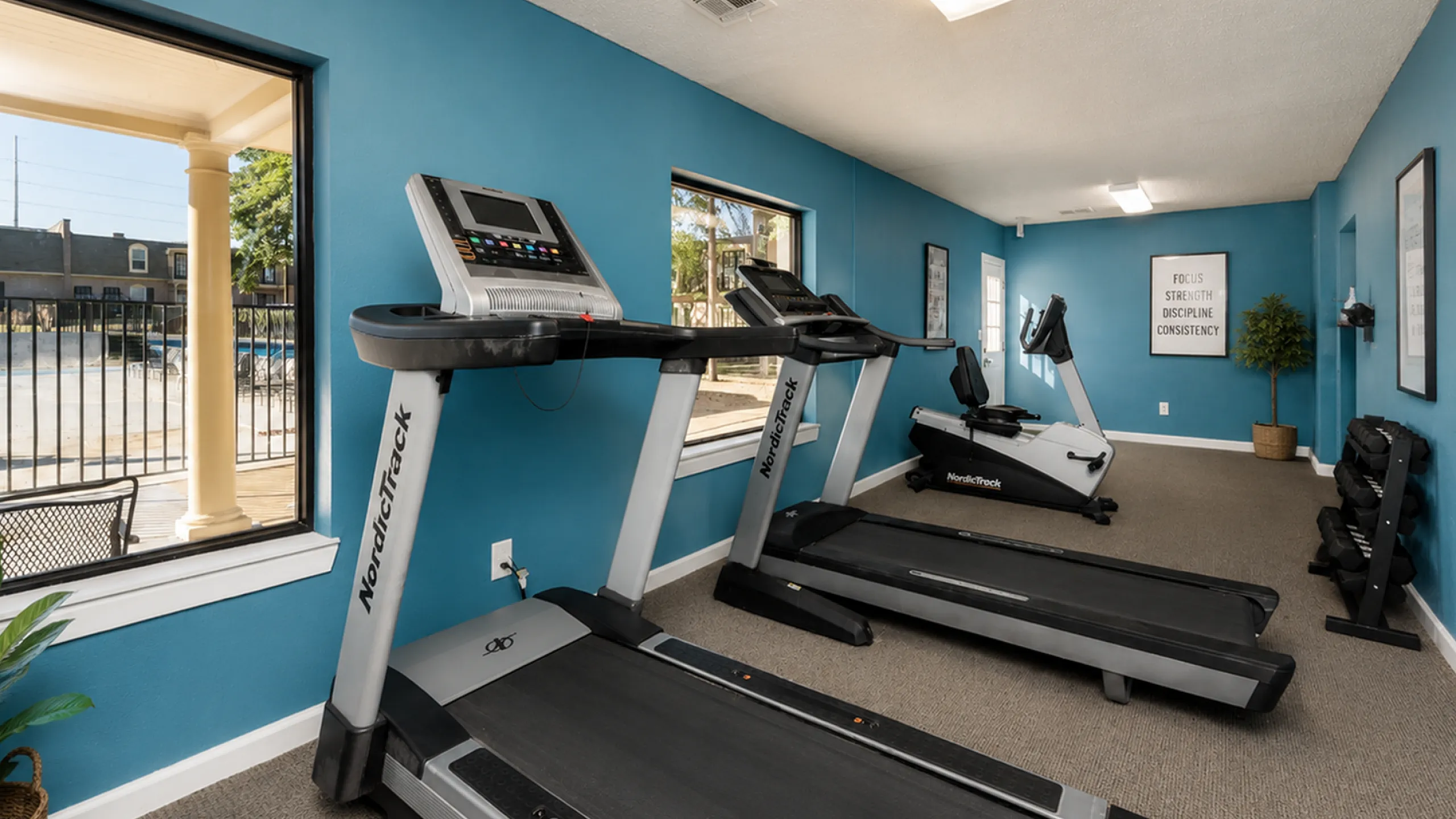 fitness