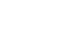 White Logo