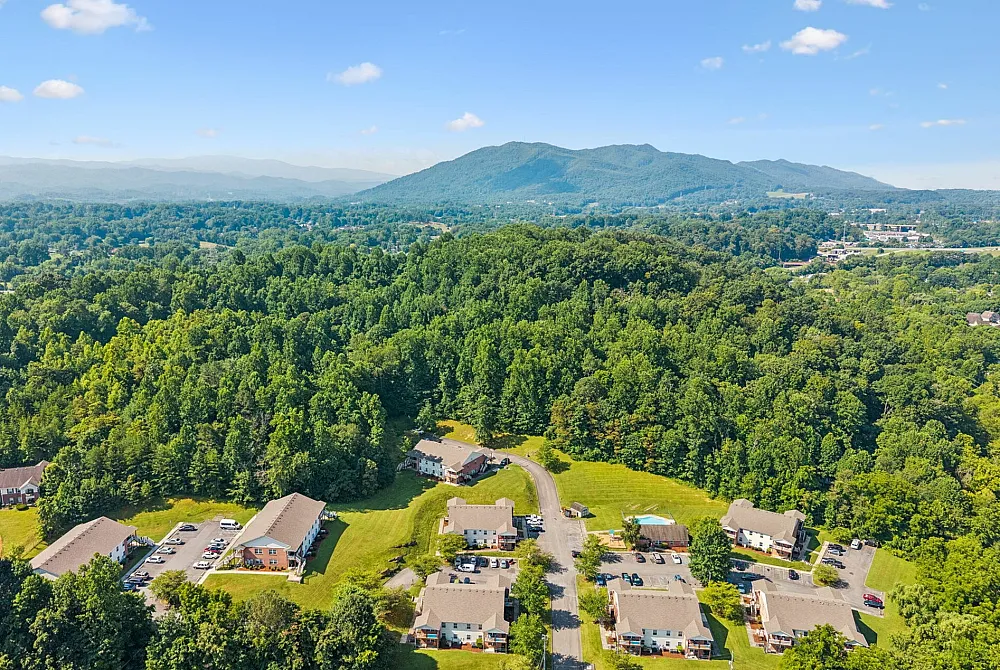 Scenic aerial view of charming residential complex surrounded by lush greenery and mountain vistas, highlighting a serene and picturesque living environment.