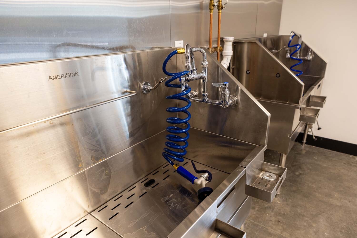 Image of Dog Wash for The Citizen