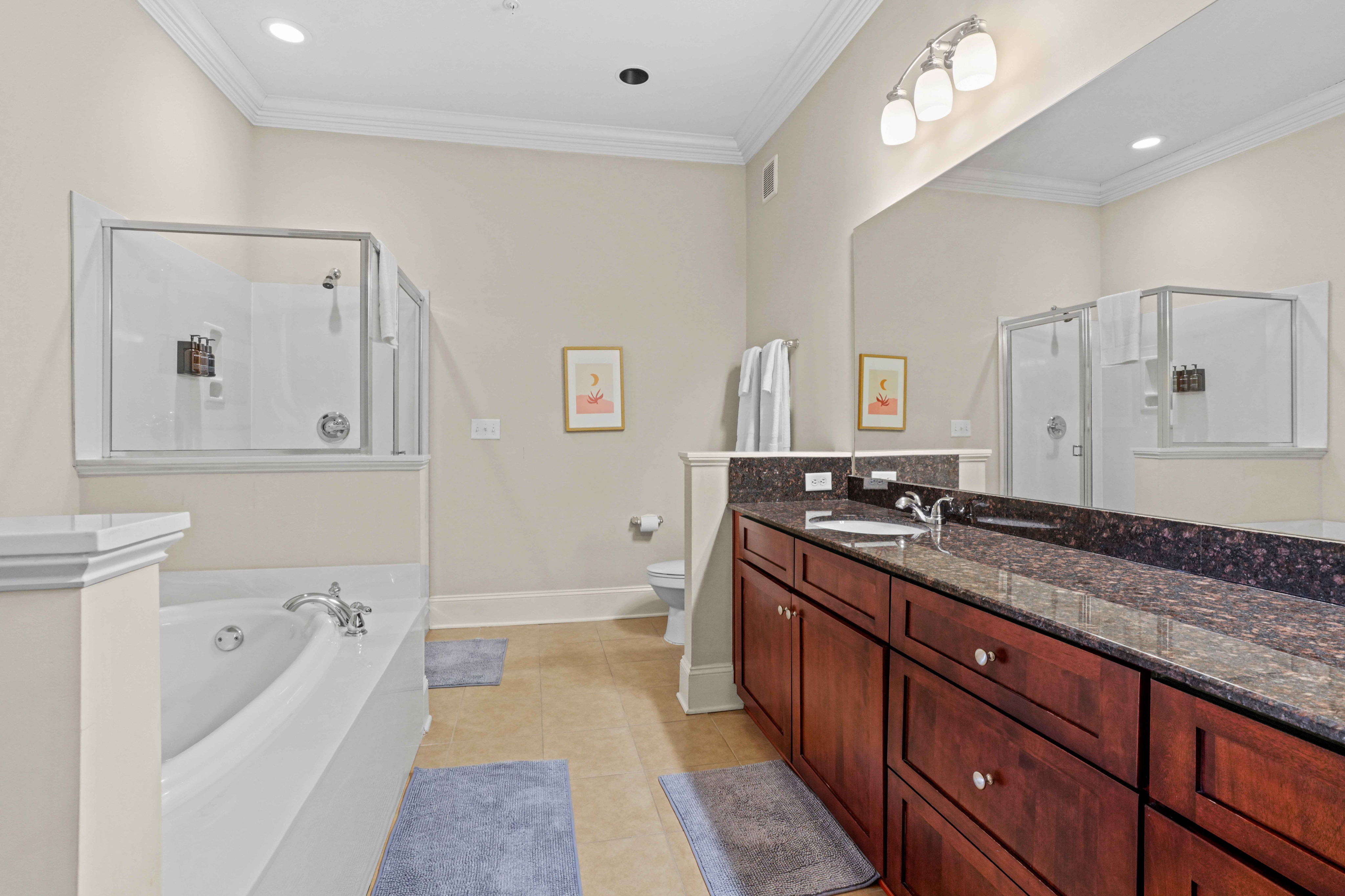 Elegant bathroom featuring a spacious vanity with dark granite countertop, a large mirror, luxurious bathtub, and a sleek glass-enclosed shower.