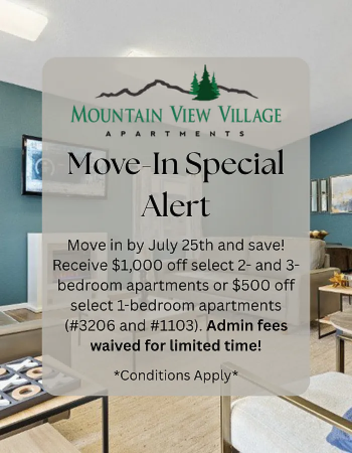 Mountain View Village