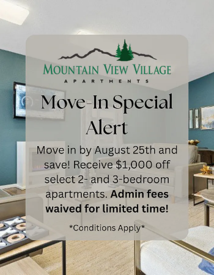 Mountain View Village