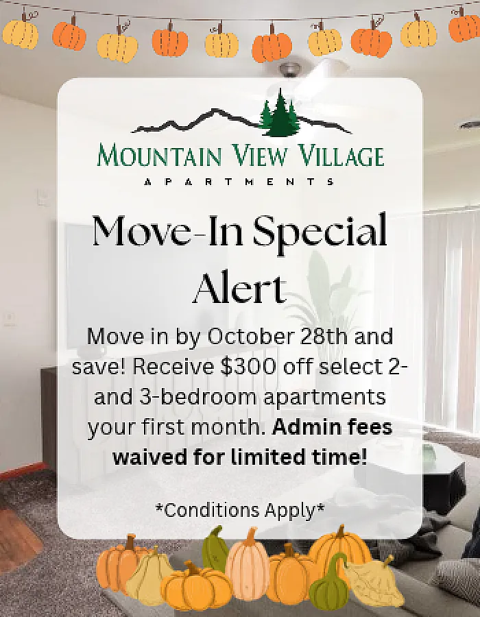 Mountain View Village