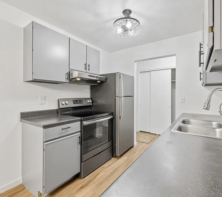 Modern kitchen featuring sleek gray cabinets, stainless steel appliances, and elegant lighting fixtures.