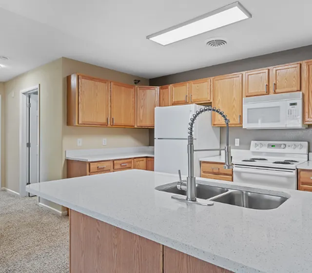 Modern kitchen with elegant white quartz countertops, stainless steel sink, and wooden cabinetry, featuring a sleek and inviting design.