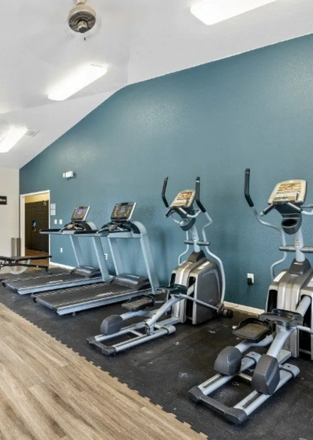 Modern fitness center featuring state-of-the-art treadmills and elliptical machines in a stylish, well-lit space.