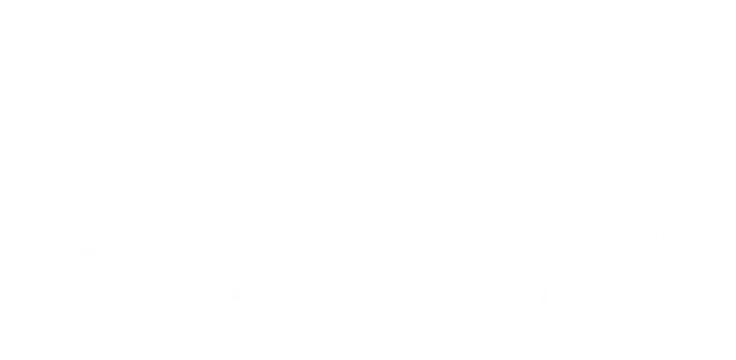 Elegant Mountain View Village Apartments logo with mountain and trees silhouette.
