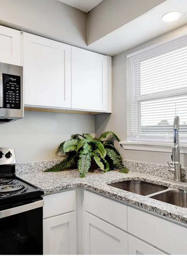 Modern kitchen with sleek stainless steel appliances, granite countertops, and a bright window adding natural light.