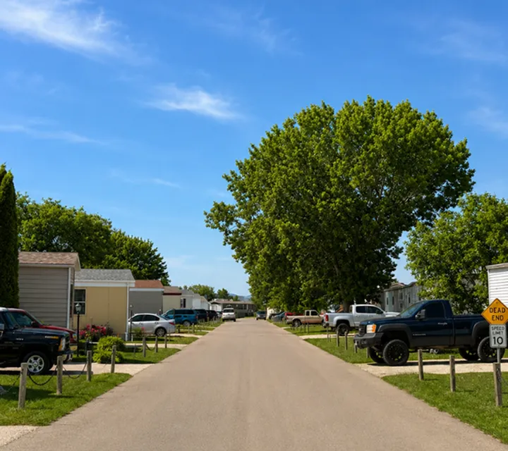 Charming suburban street lined with mobile homes and lush green trees under a clear blue sky.